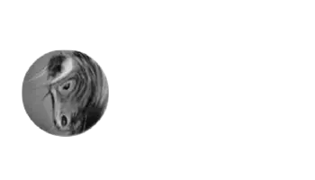 El Hornero